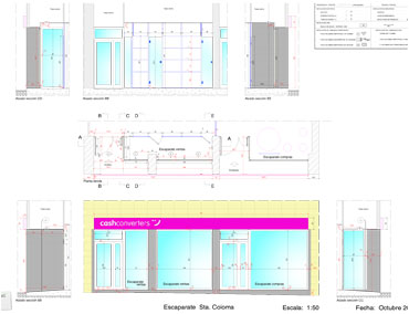 Site Survey